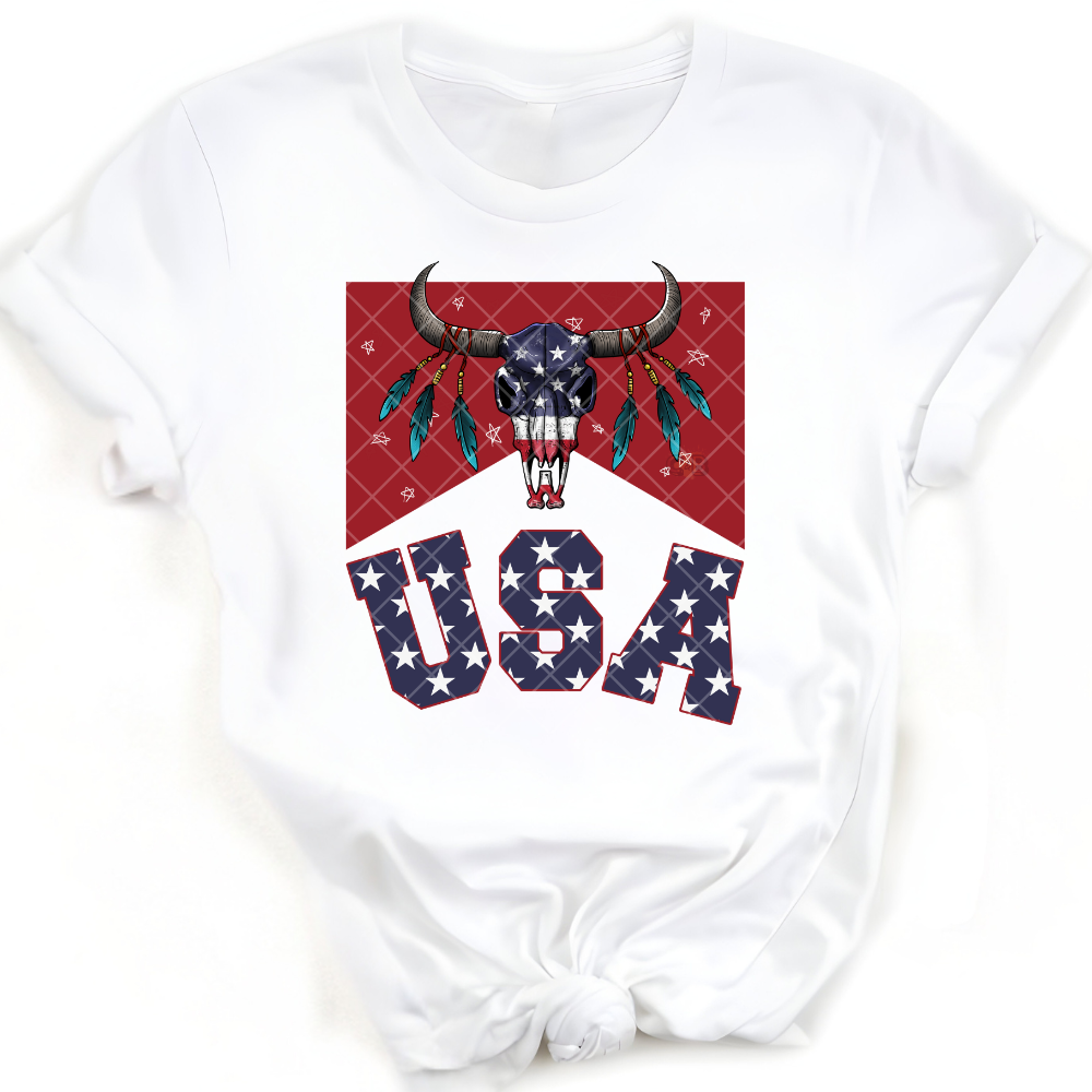 American Heritage USA PNG