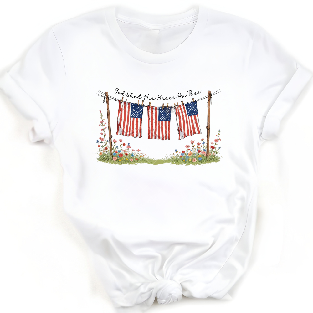Shed Grace US Flags On Dry Line PNG File