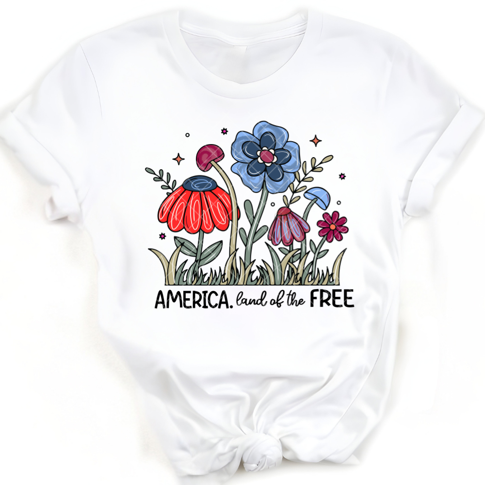 America Land Of The Free PNG