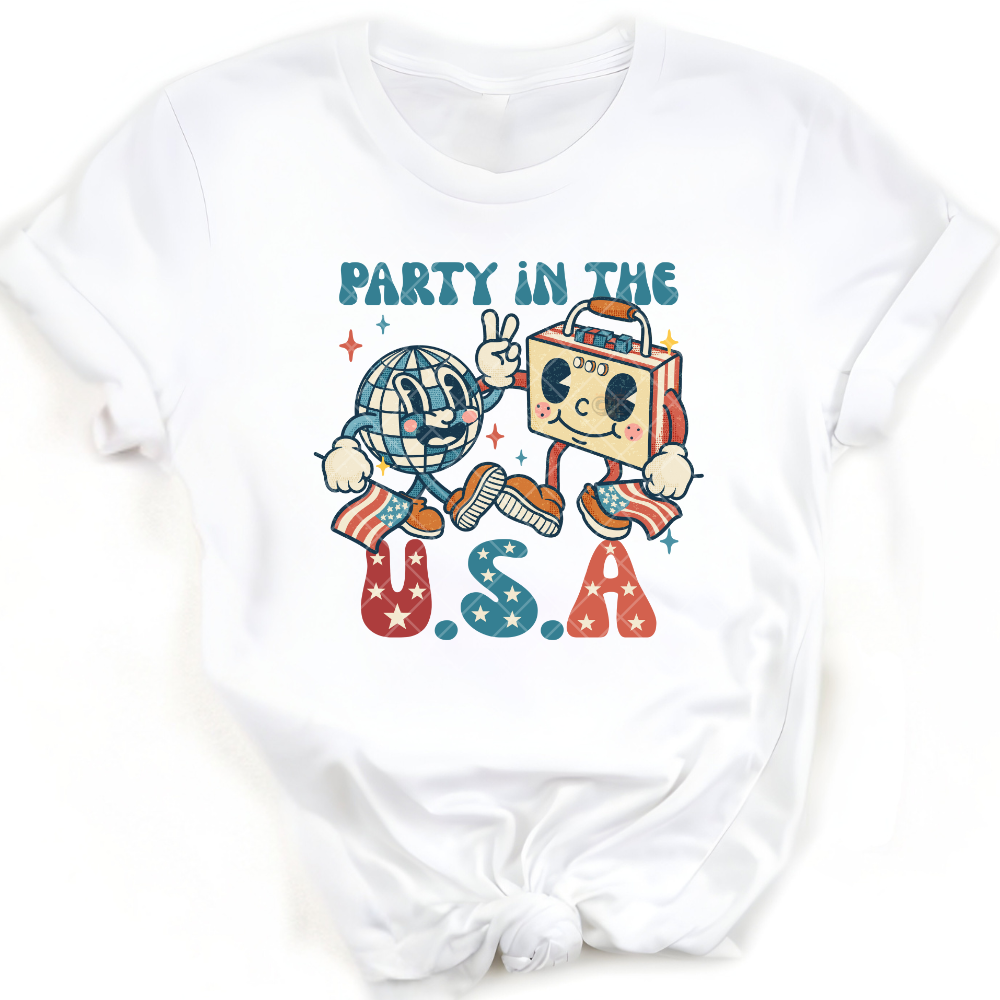 Party Disco USA PNG