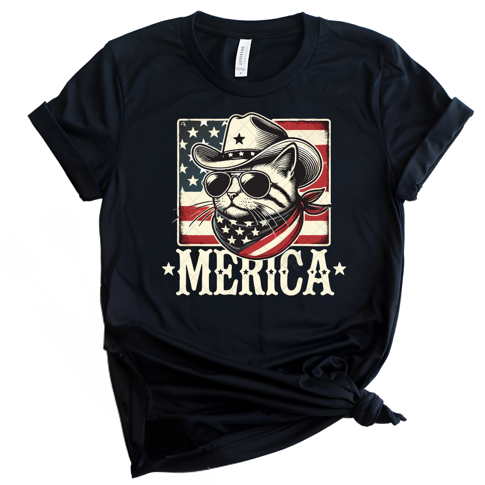 Merica cowboy Cat PNG