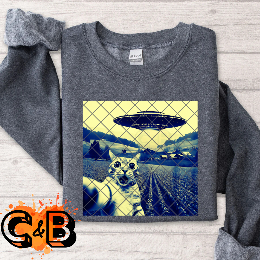Cat selfie with ufo PNG