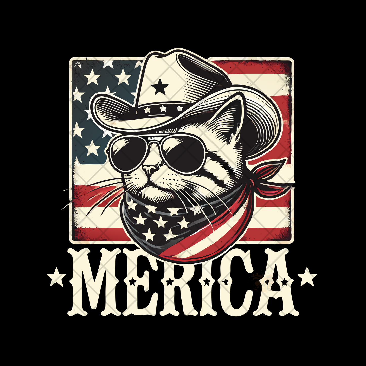 Merica cowboy Cat PNG