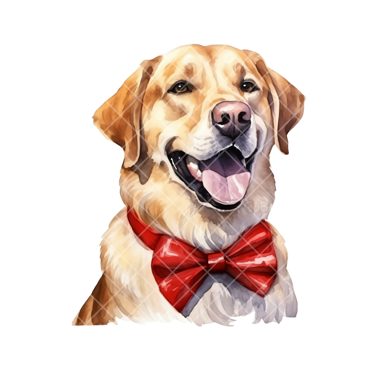 Labrador With Red Bow Tie PNG