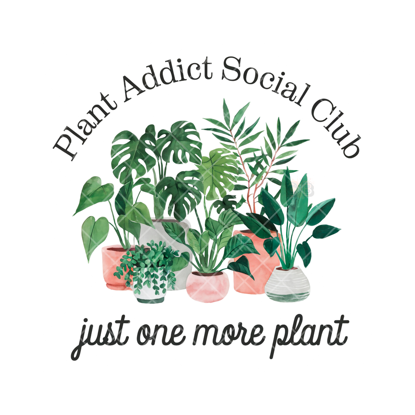 Plant Social Club PNG