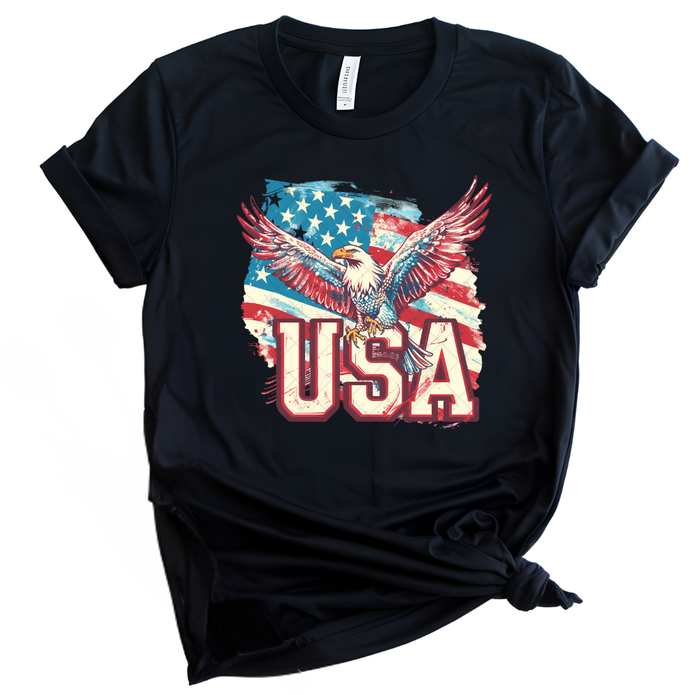 USA Eagle Paint America Stripes PNG