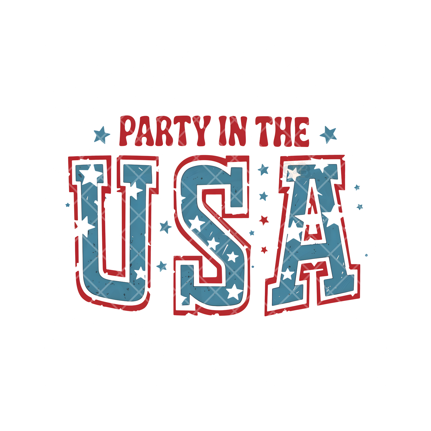 Party In The USA PNG