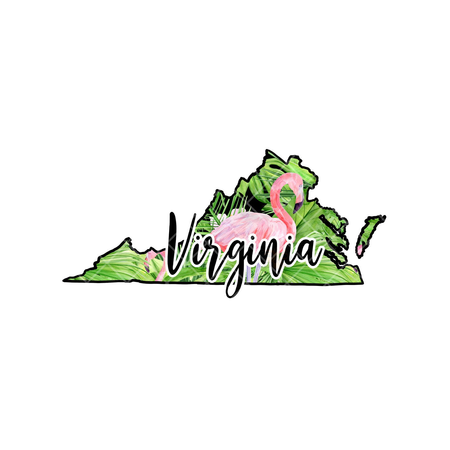 Virginia Green Flamingo PNG