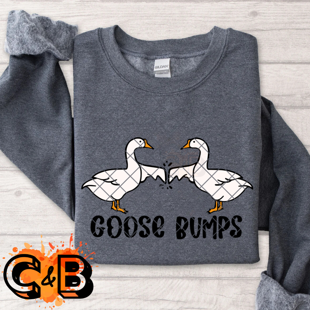 Goose bumps two geese PNG