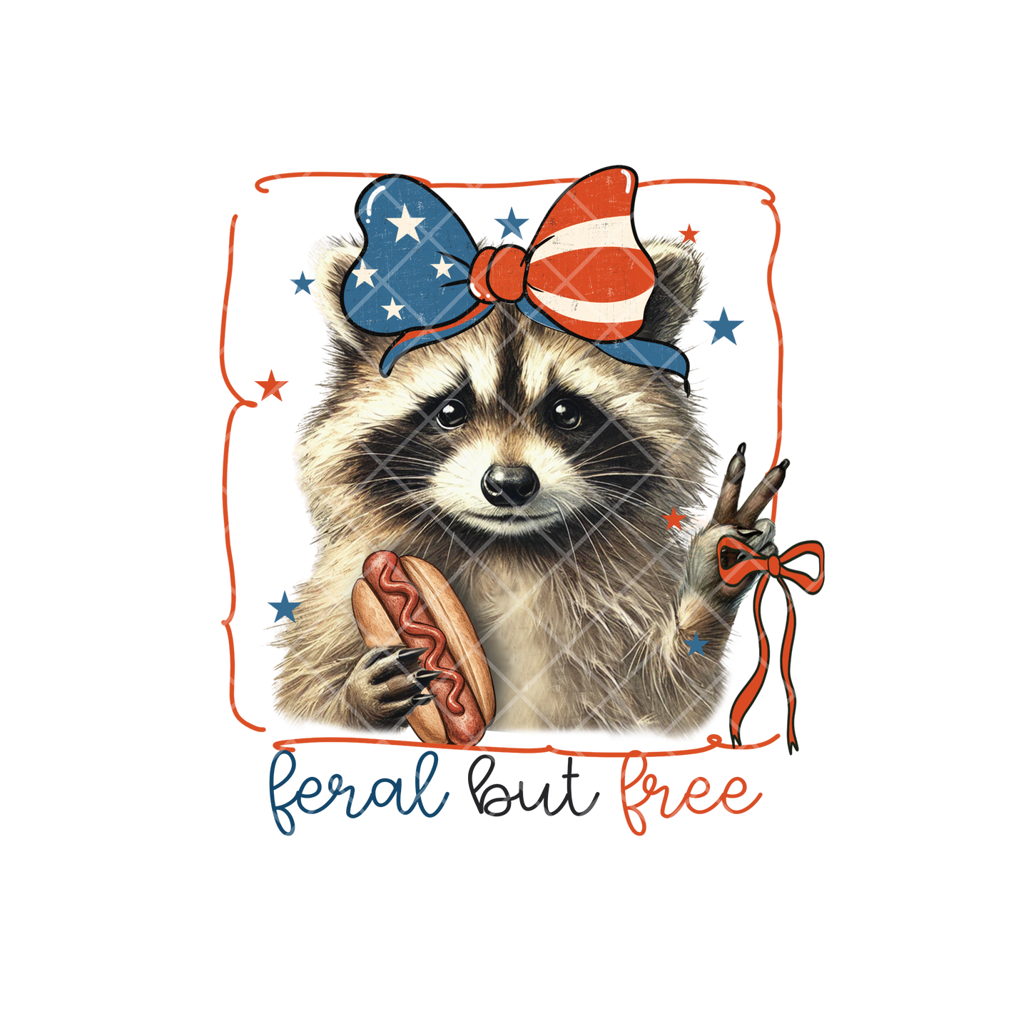 Raccoon Freedom PNG
