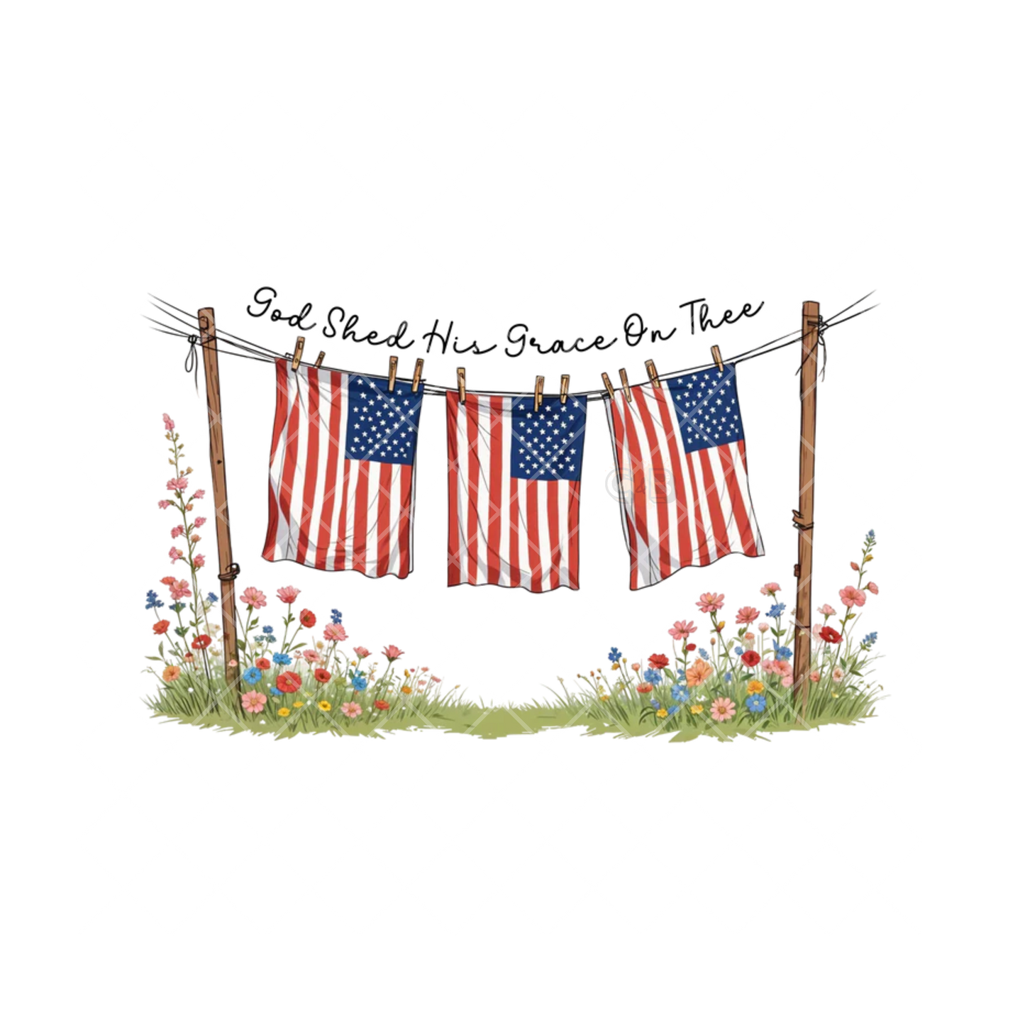 Shed Grace US Flags On Dry Line PNG File