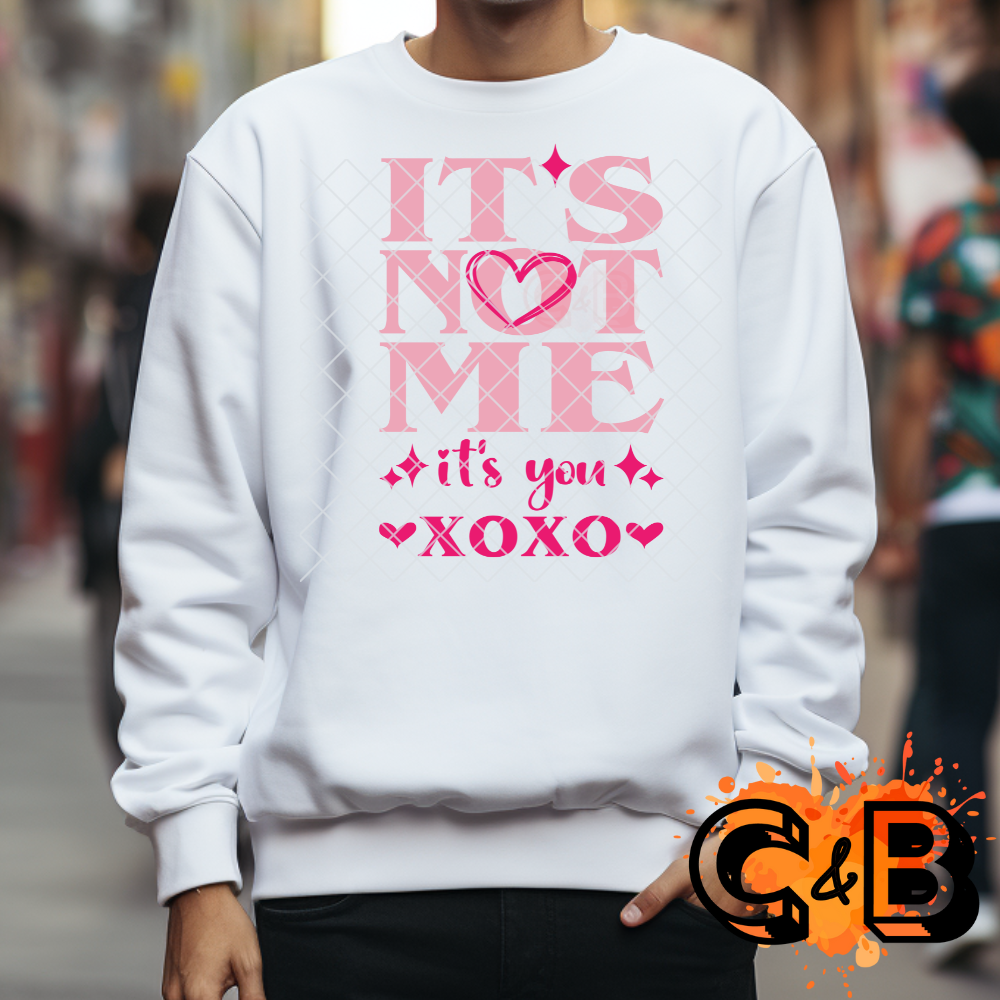 It’s not me it’s you T DTF film t shirt transfer