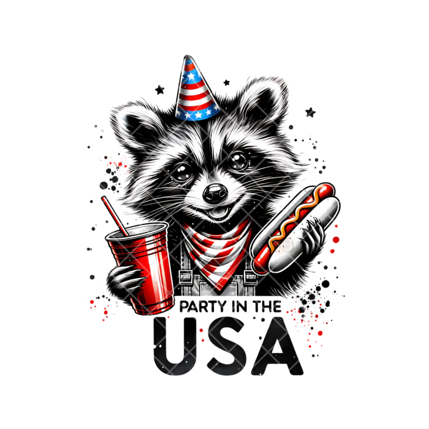Party In The USA Raccoon PNG File