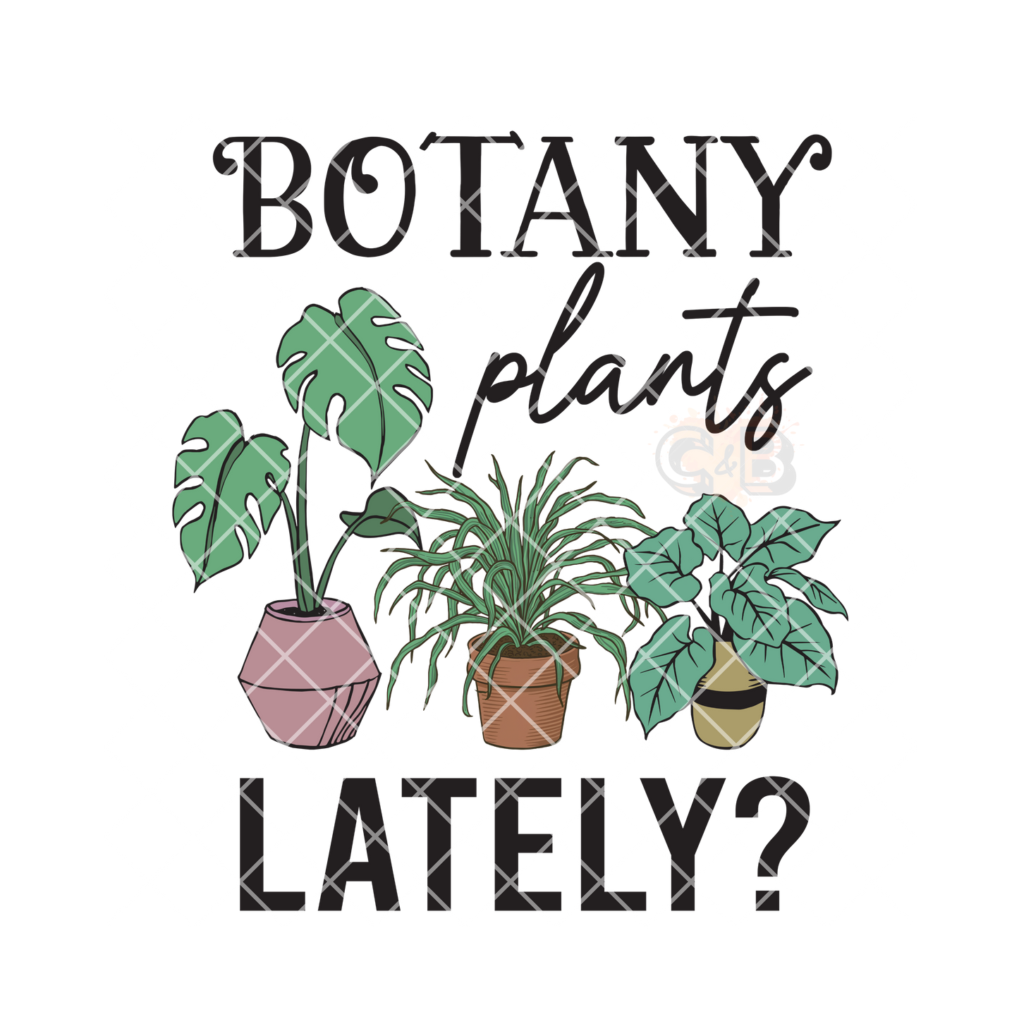 Botany plants lately PNG