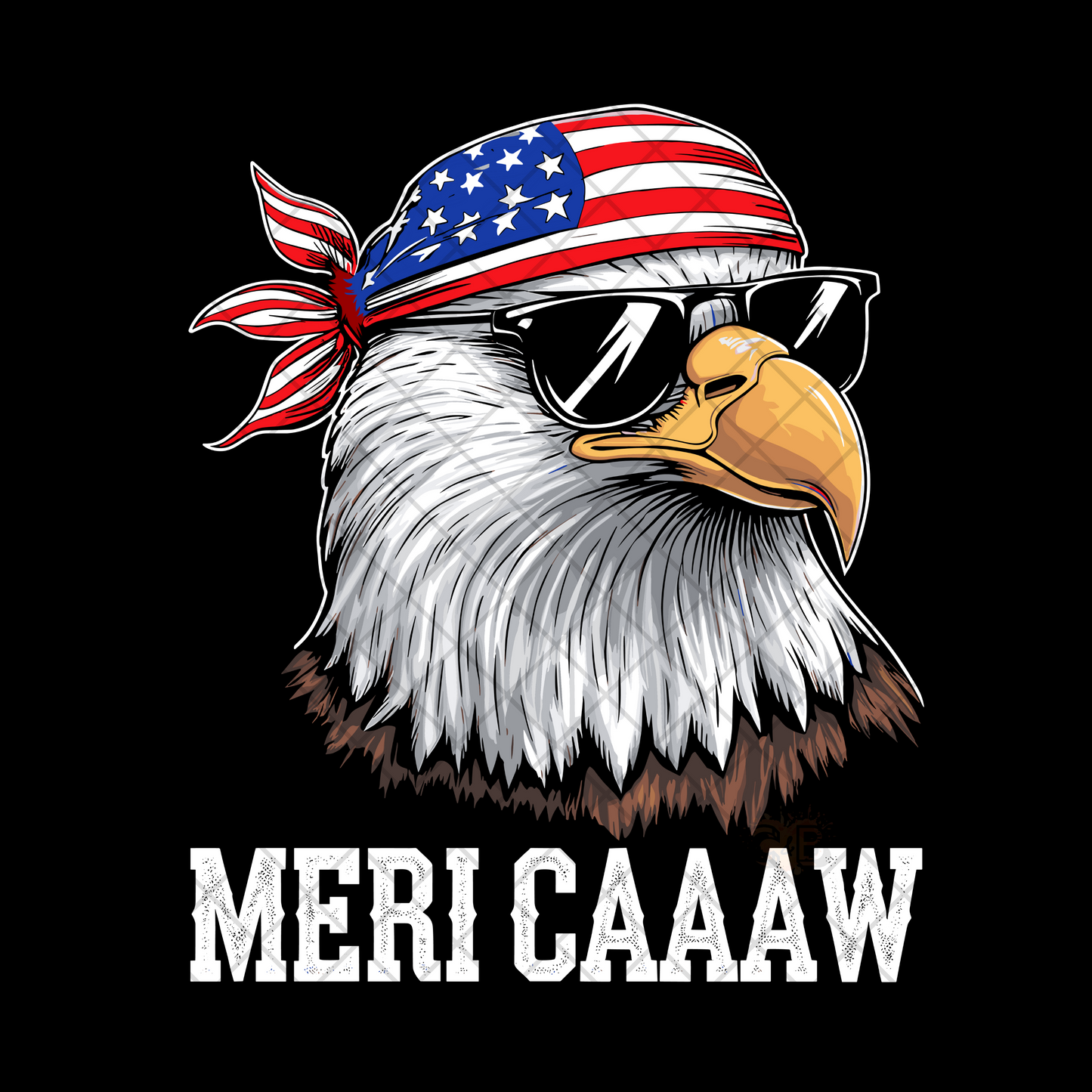 Eagle Meri Caaw Flag Shades PNG