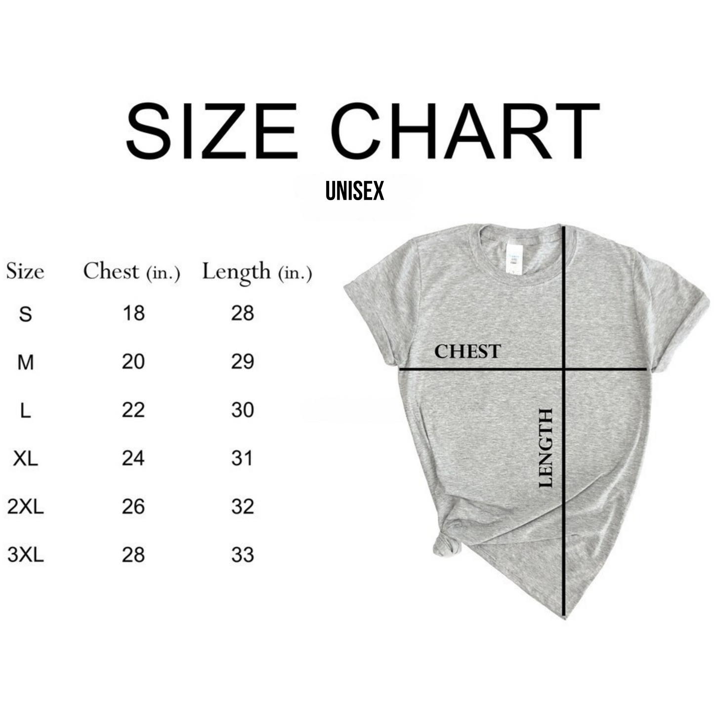 Chickens & Jesus - Premium Graphic T-Shirt for Casual Wear