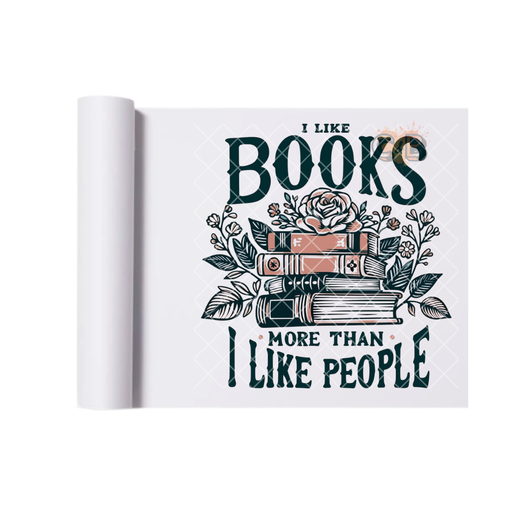 I Like Books More Than I Like People DTF Transfer