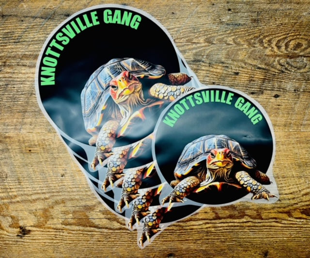 Knottsville Gang Transfers