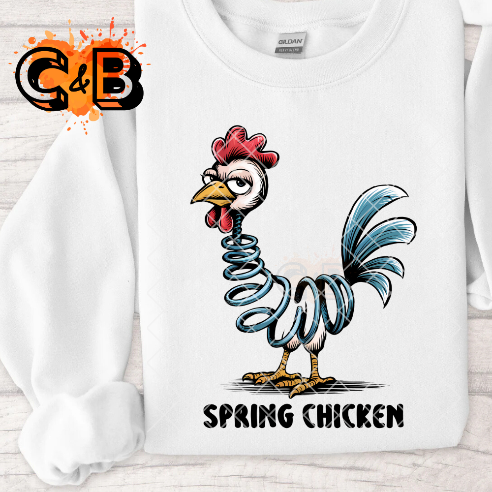 Spring chicken chicken PNG