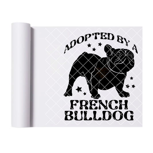 Adopted by a French bulldog DTF film t shirt transfer
