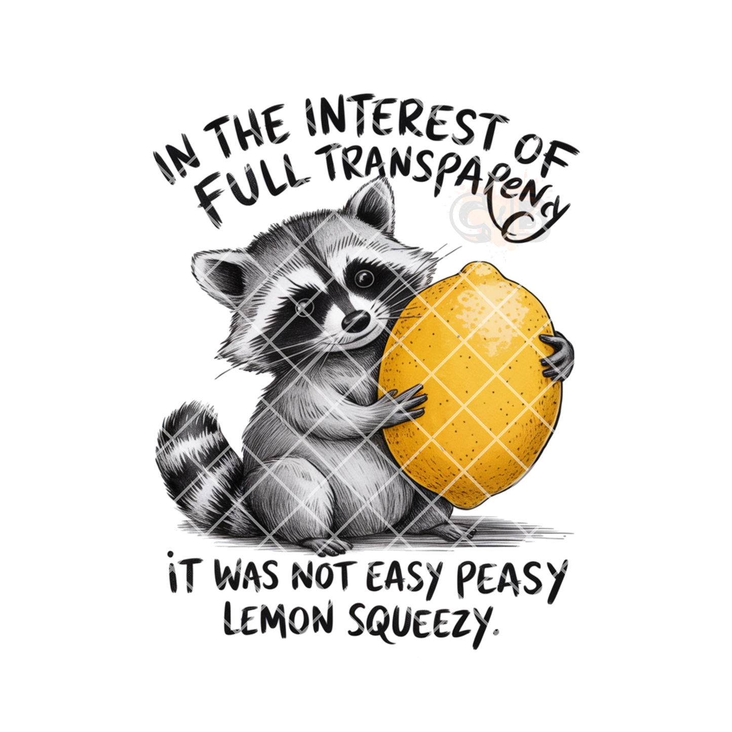 Full transparency Racoon lemon PNG