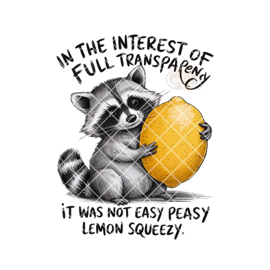 Full transparency Racoon lemon PNG
