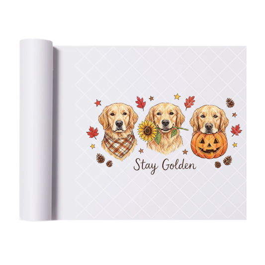 Stay Golden Labrador - Ready To Press Print Transfer for Apparel, Cotton, Polyester & Blends - High-Quality Print- Commercial Grade