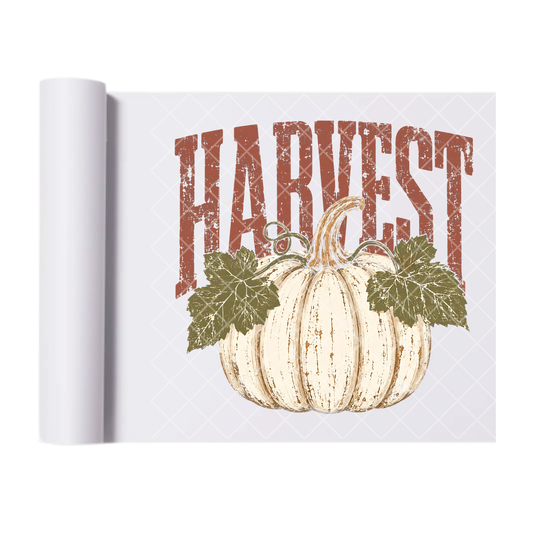 Distressed Harvest White Pumpkin - Direct Transfer Print, Ready To Press For T-Shirts, Cotton, Polyester & Blends - Tshirt Business Quality