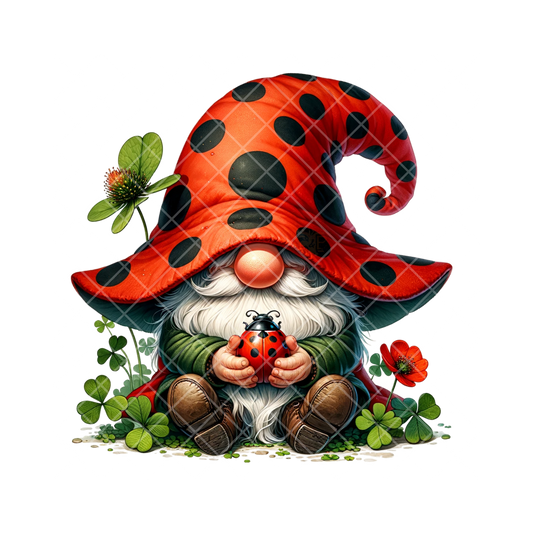 Ladybug Themed Gnome PNG