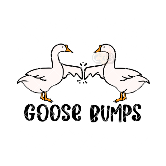 Goose bumps two geese PNG