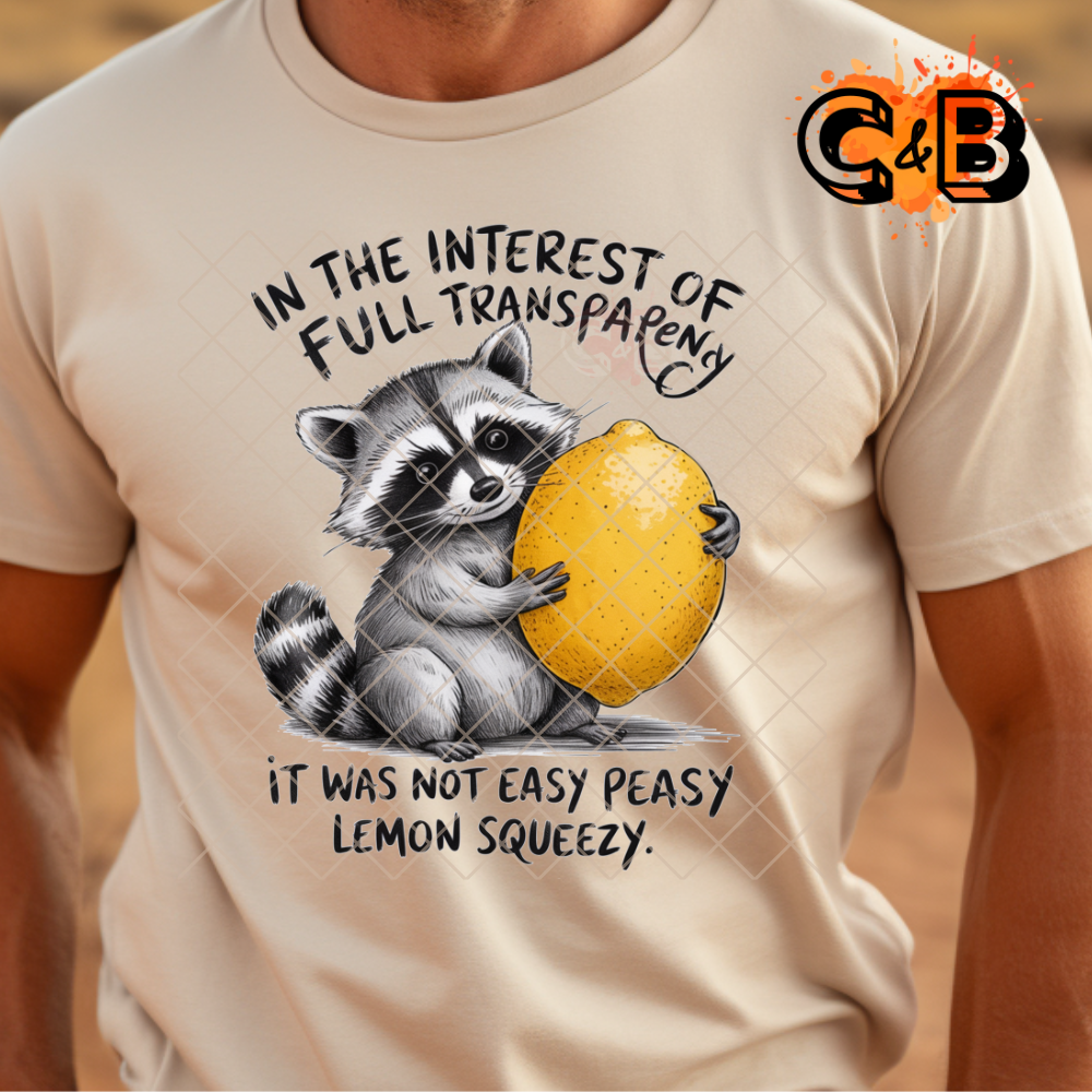 Full transparency Racoon lemon PNG