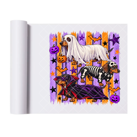 Weiner Dogs In Halloween Costumes - Ready To Press Print Transfer for Apparel, Cotton, Polyester & Blends - High-Quality Print- Commercial Grade