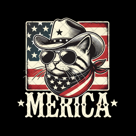 Merica cowboy Cat PNG