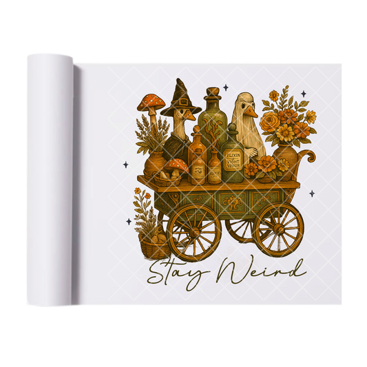 Stay Weird - Ready To Press Print Transfer for Apparel, Cotton, Polyester & Blends - High-Quality Print- Commercial Grade