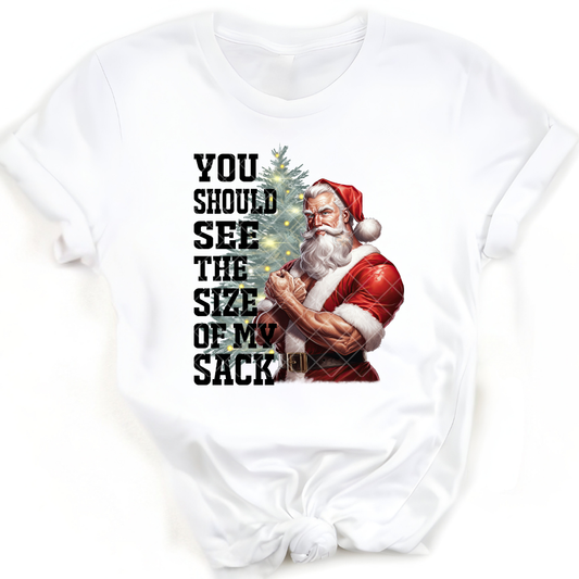 Size Of My Christmas Sack - Premium Graphic T-Shirt for Casual Wear