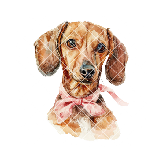 Dachshund with Pink Bow PNG