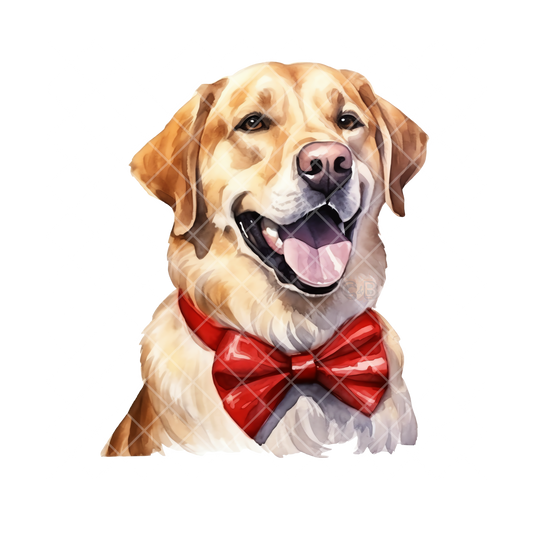 Labrador With Red Bow Tie PNG