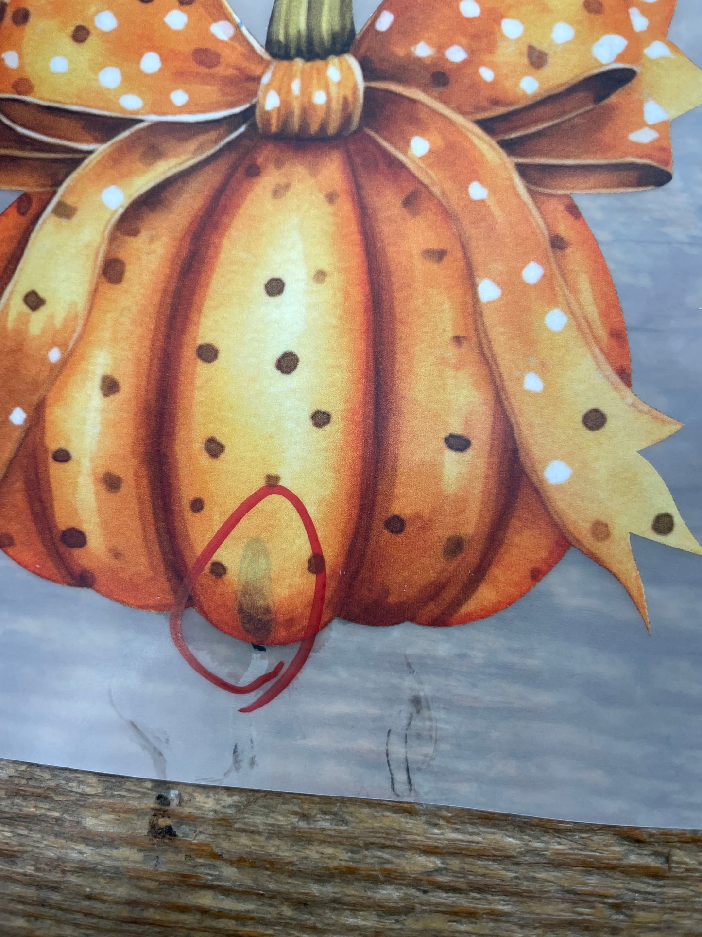 Pumpkins with bows #A12 Discount Print