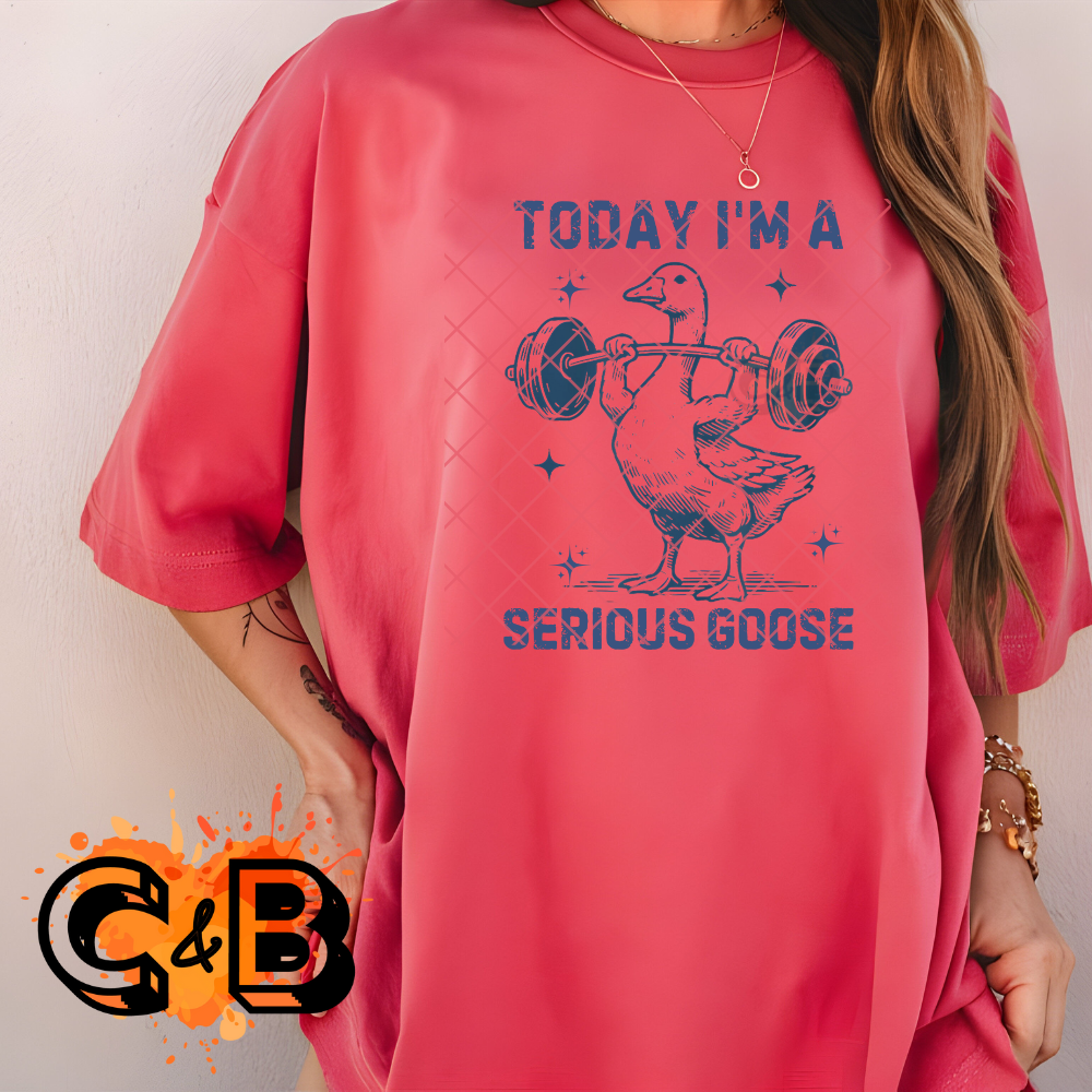 Serious goose DTF transfer-high quality transfer for printing
