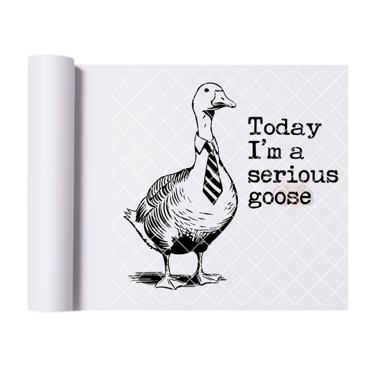 I’m a serious goose today DTF transfer-high quality transfer for printing