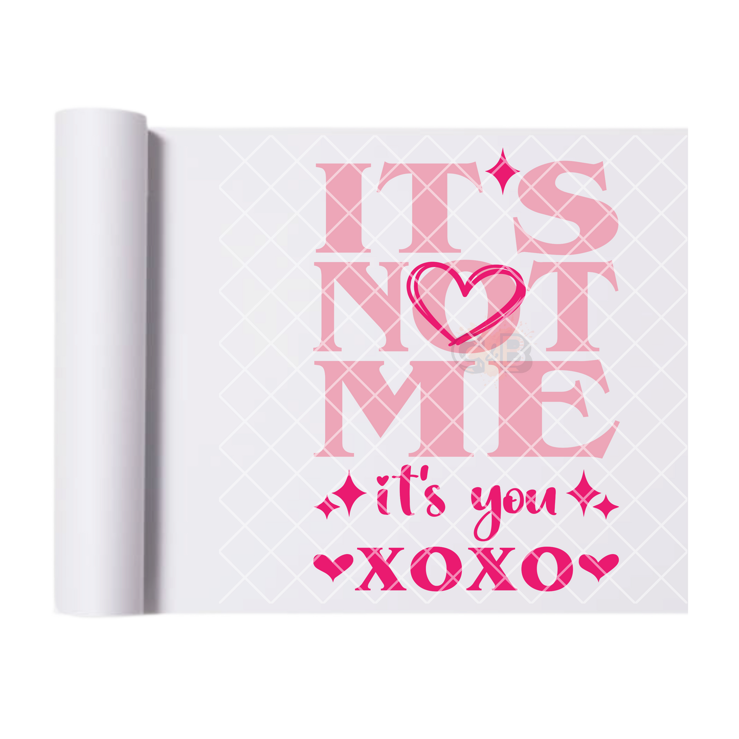 It’s not me it’s you T DTF film t shirt transfer