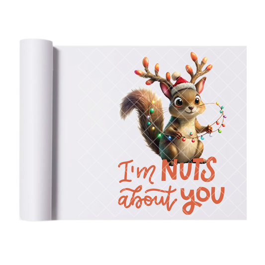 I’m Nuts About You - Direct-To-Film Heat Transfer for T-Shirts, Cotton, Polyester & Blends - High-Quality Print