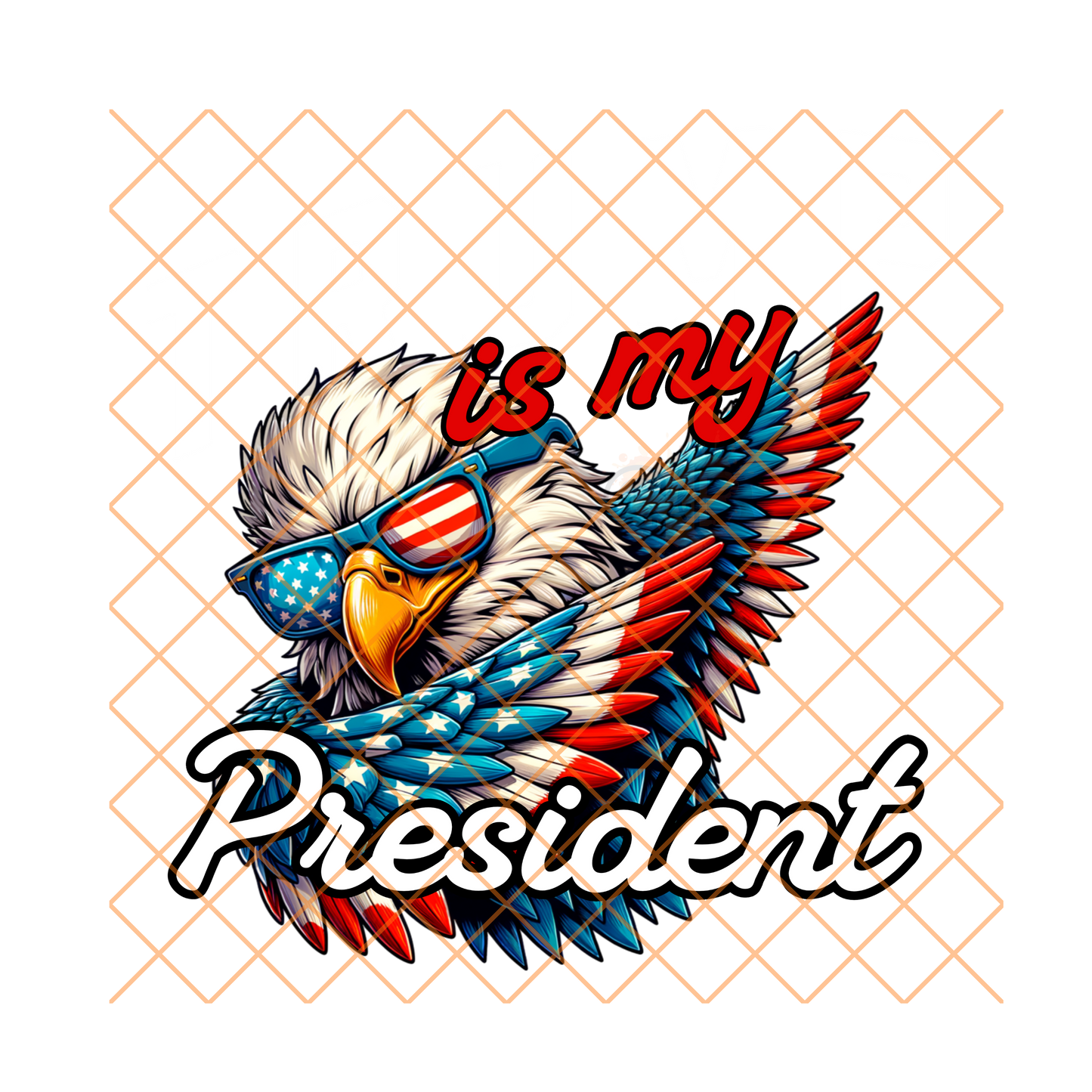 Trump Is My President Eagle American Flag DTF Transfer