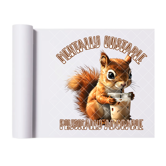 Mentally Unstable Squirrel - Ready To Press Print Transfer for Apparel, Cotton, Polyester & Blends - High-Quality Print- Commercial Grade
