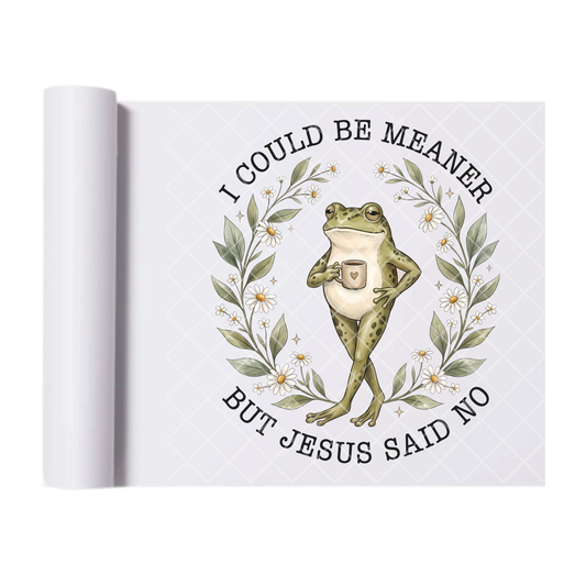 I Could Be Meaner Frog - Direct-To-Film Heat Transfer for T-Shirts, Cotton, Polyester & Blends - High-Quality Print