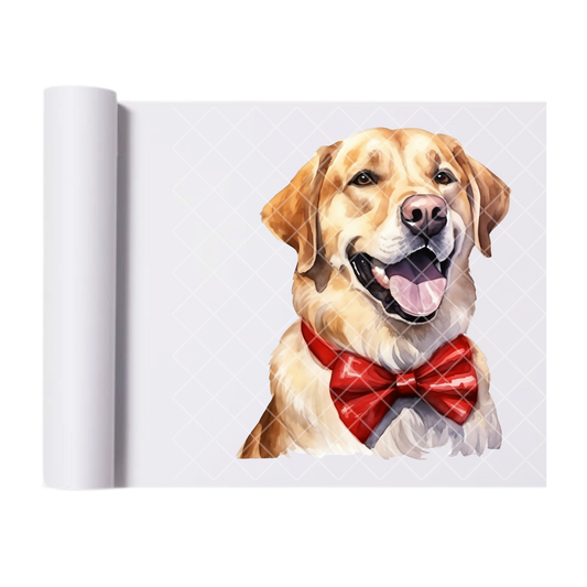 Labrador With Red Bow Tie - Direct Print Film Transfer for Trendy T-Shirts, Cotton, Polyester & Blends - High-Quality Print