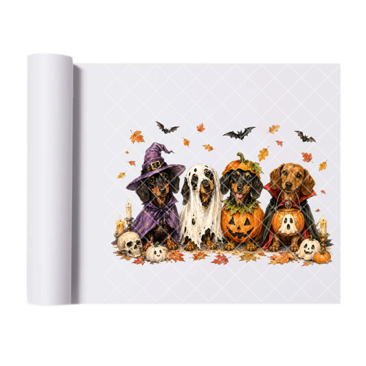 Halloween Trick or Treat Dachshunds - Direct Transfer Print, Ready To Press For T-Shirts, Cotton, Polyester & Blends - Tshirt Business Quality