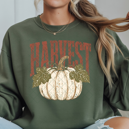 Distressed Harvest White Pumpkin - Premium Graphic T-Shirt for Casual Wear