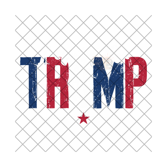 I Voted For Trump PNG