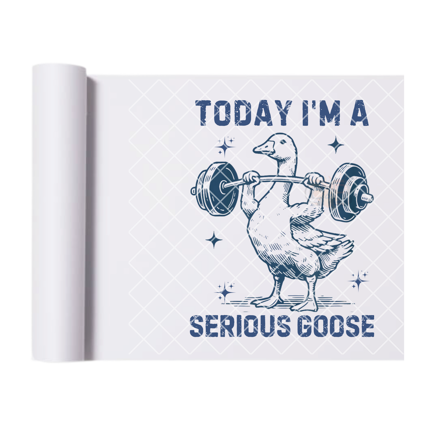 Serious goose DTF transfer-high quality transfer for printing